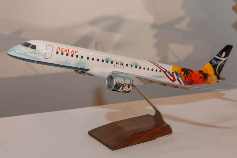 Aircraft livery in LAX theme