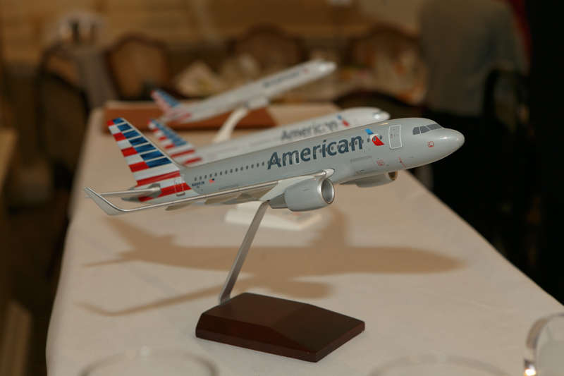 American Airlines Livery